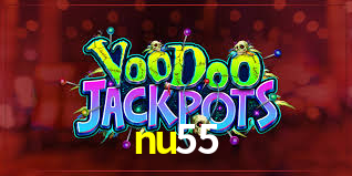Premium Interface nu55